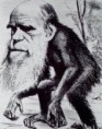 /album/especies/especie-6-jpg/